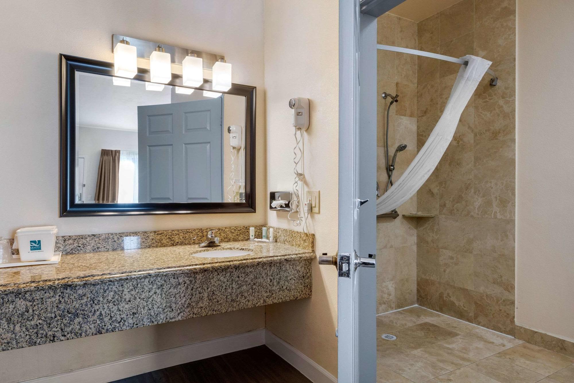 Standard Room, 1 King Bed, Accessible Roll-In Shower, Non Smoking